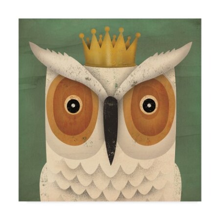 Ryan Fowler 'White Owl With Crown' Canvas Art,35x35